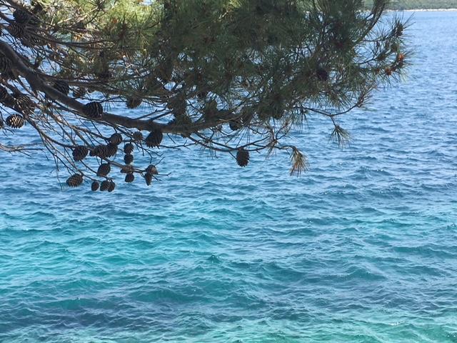 Apartment Pomirenja Korcula Town Bagian luar foto